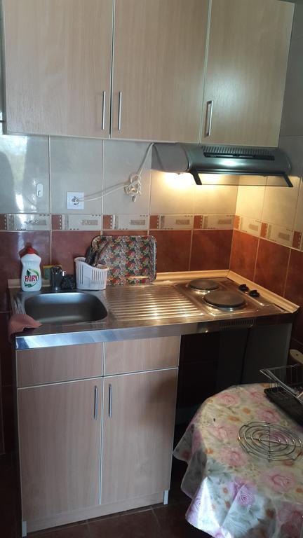 Vuko I Magdalena Midzor Apartment Petrovac Room photo